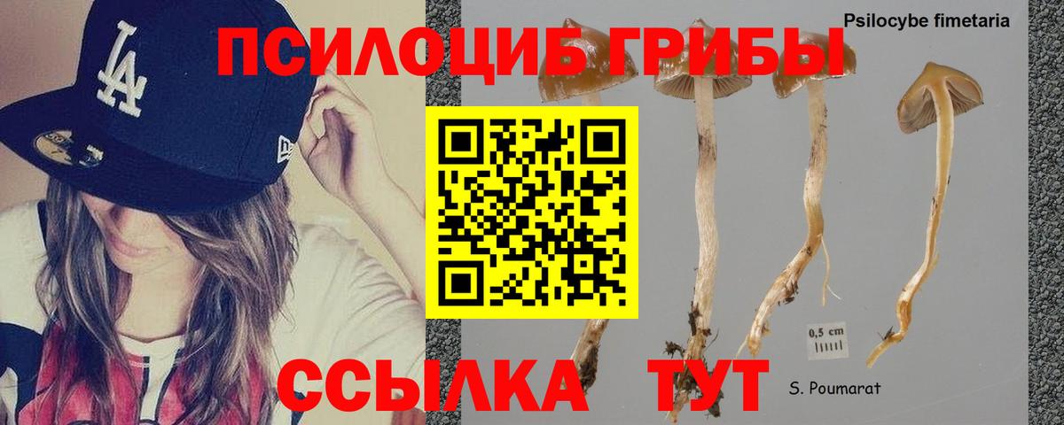 Галлюциногенные грибы мицелий  Вход с VPN  Псилоцибиновые грибы Psilocybine cubensis  Ханты-Мансийск 